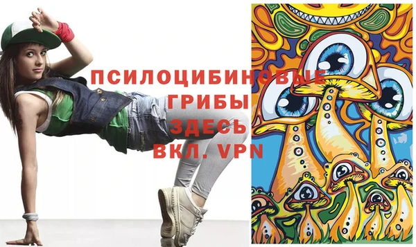 тгк Абдулино