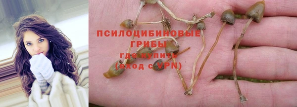 герыч Абинск