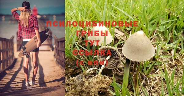 кокаин перу Абаза