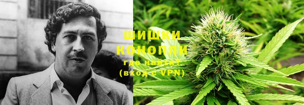 тгк Абдулино